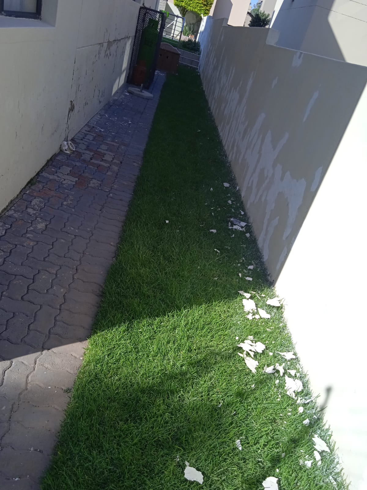 Damp proofing site photo from WhatsApp